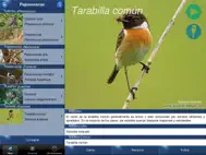 Cantos de Aves Id ipad bilder 1