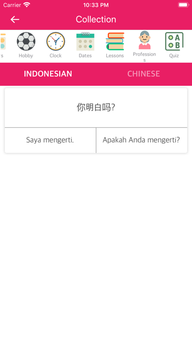Screenshot #3 pour Indonesian Chinese Dictionary