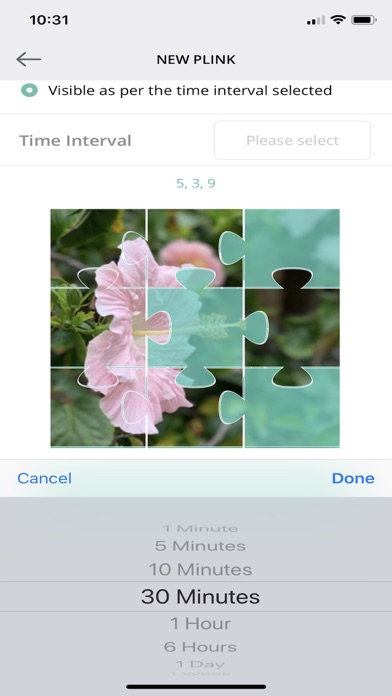 How to cancel & delete Plinkit from iphone & ipad 4