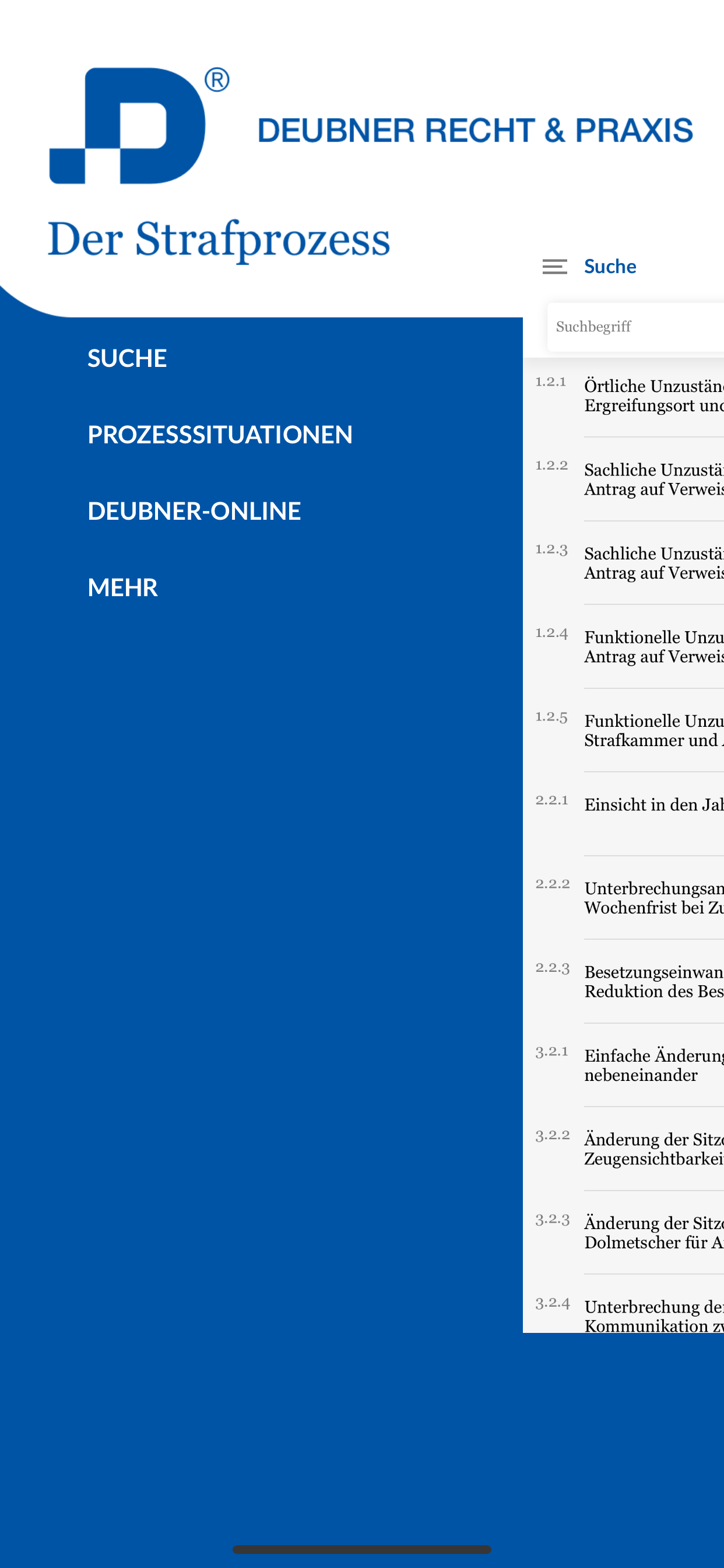 Der Strafprozess