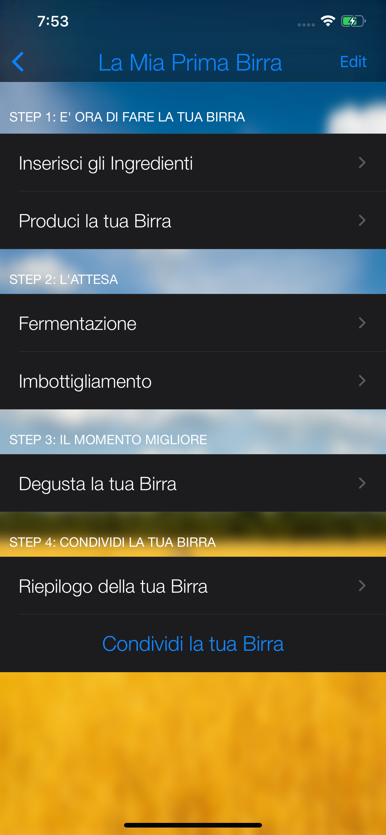 iBrewer Kit