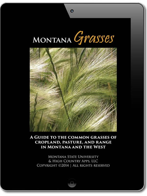 Screenshot #4 pour Montana Grasses