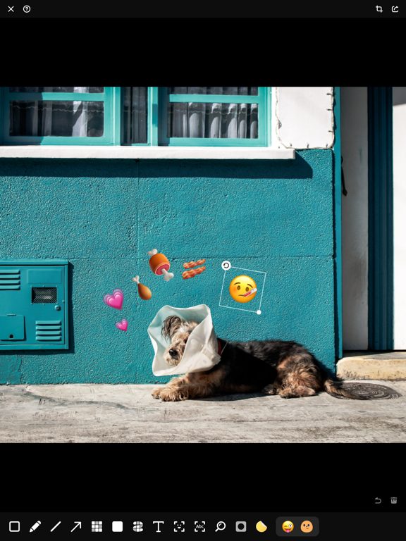 Piiico · Image Annotation iPad screenshot 5 - Utilities app