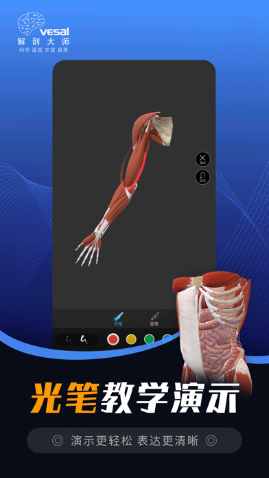 解剖大师-运动解剖模型 screenshot 3