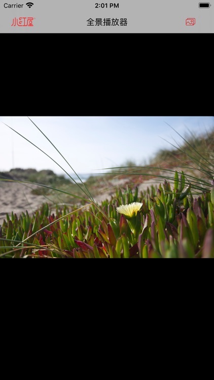 小红屋全景相册