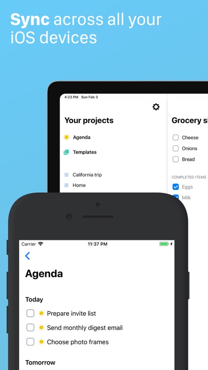 Break: Task manager and lists