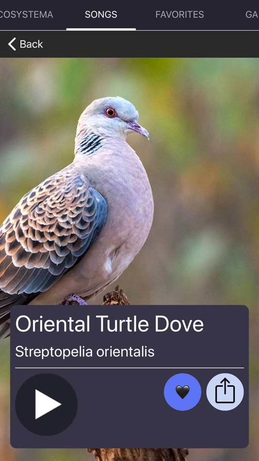 #2. Bird Sounds and Bird Calls (iOS) Bởi: Ecosystema