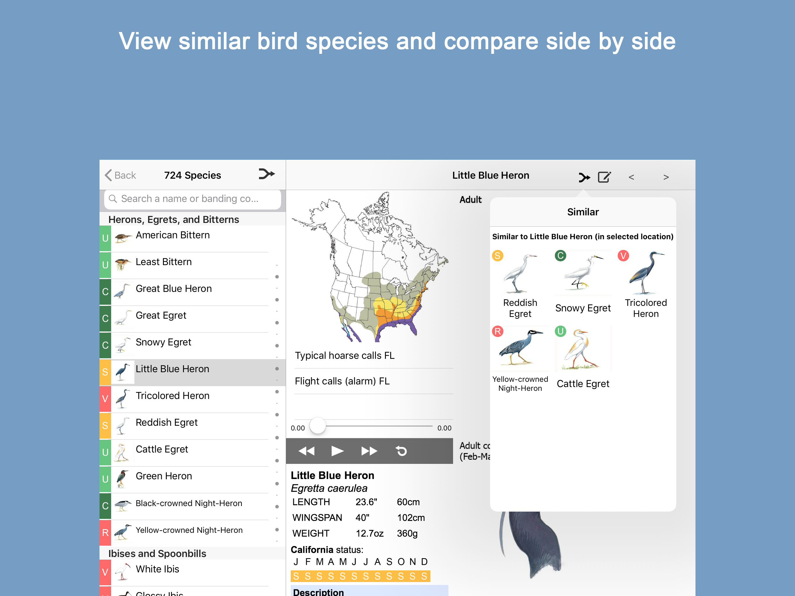 Sibley Birds 2nd Edition