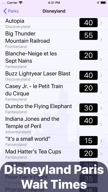 Wait Times: Disneyland Paris