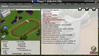 Starters Orders 7 Horse Racing Screenshot