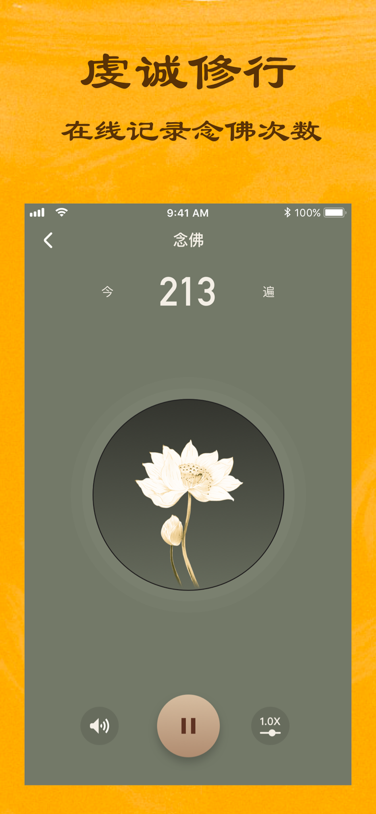 净土之光