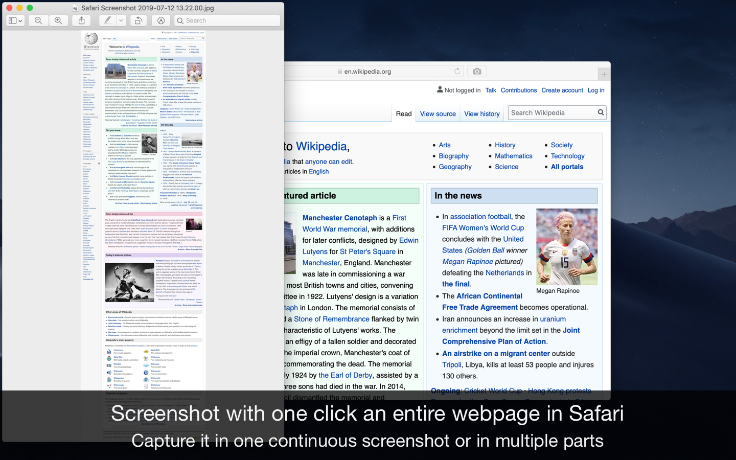 Page Screenshot for Safari