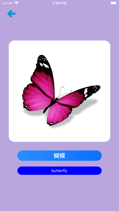 Learn Chinese Simple APP Screenshot