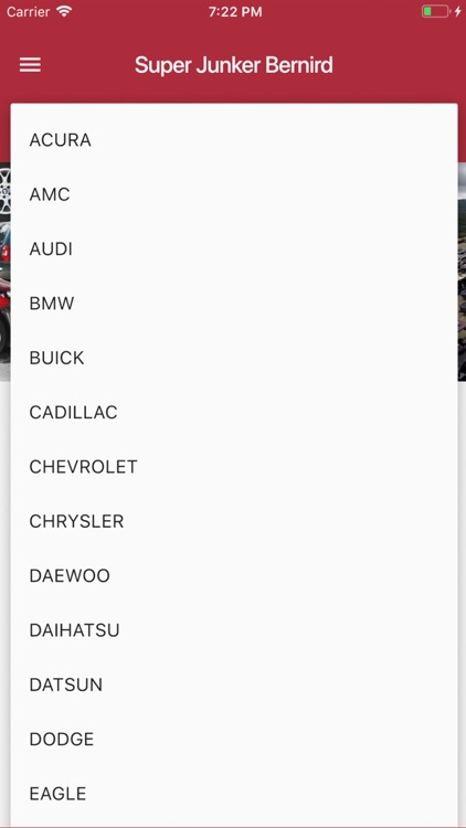 Super Junker Bernird screenshot-7