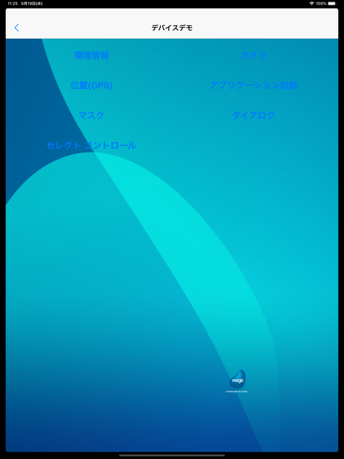 Magic xpa 2.5 Client 日本語版