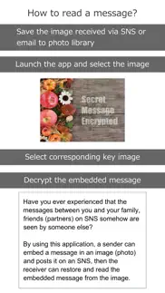 secret message exchange iphone screenshot 3