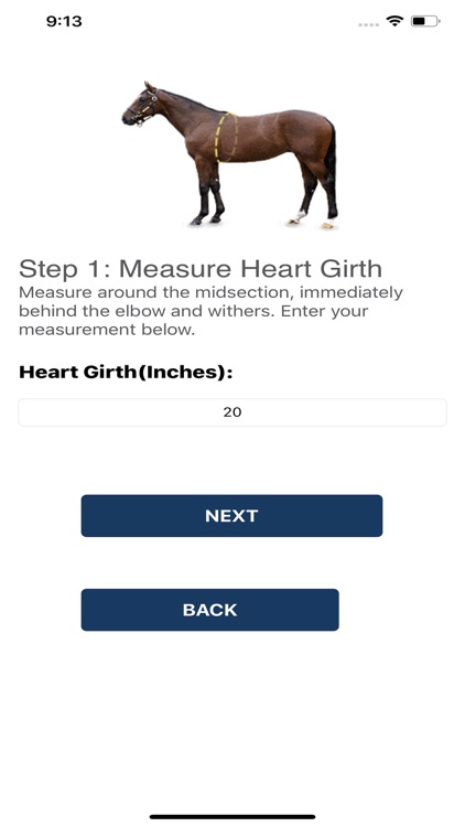 Horse Age Estimator screenshot-3