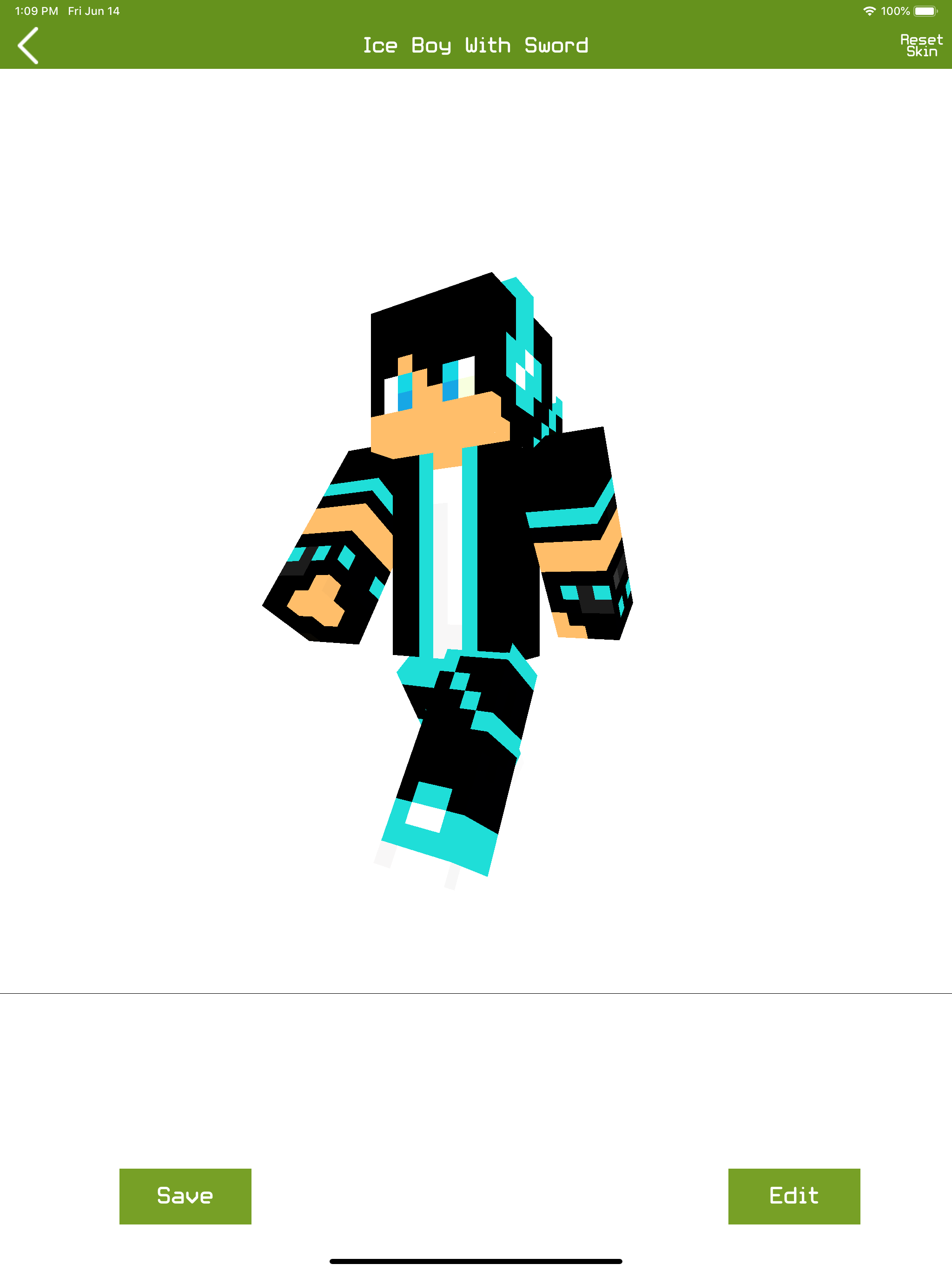 Skins for Minecraft PE and PC