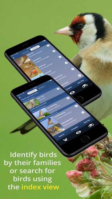 Bird Song Id UK Screenshot