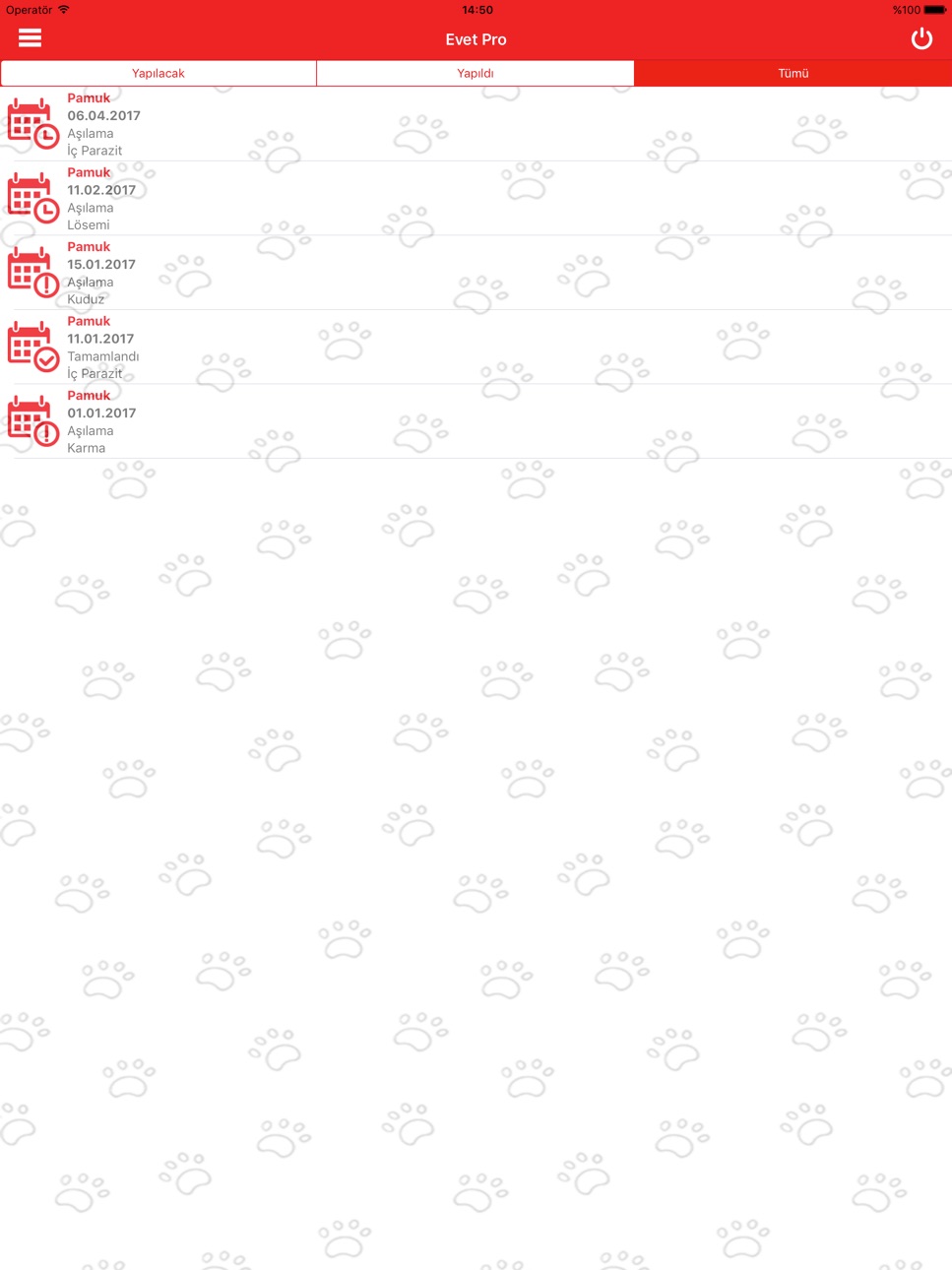 iPad screenshot