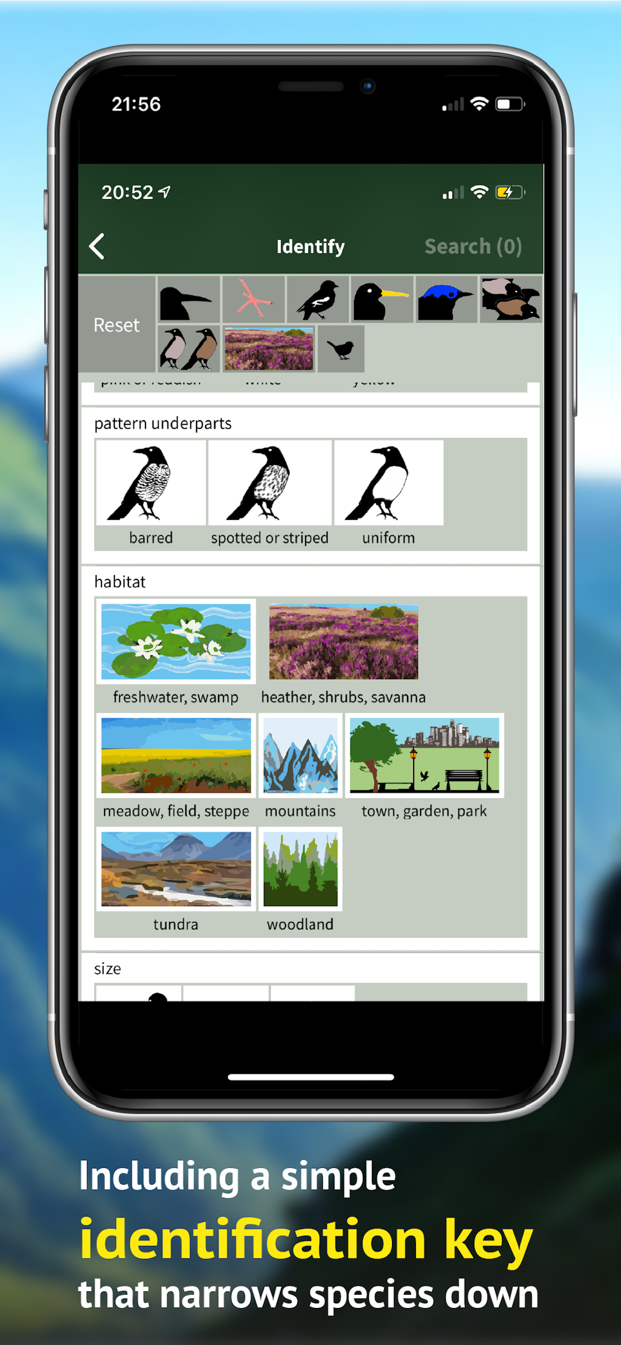 All birds CH - photo guide