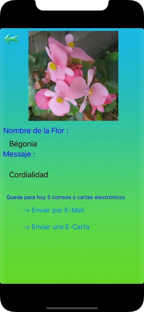 El lenguaje de las Flores