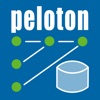 Peloton - ProdView Go