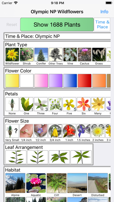 Screenshot #1 pour Olympic Wildflowers