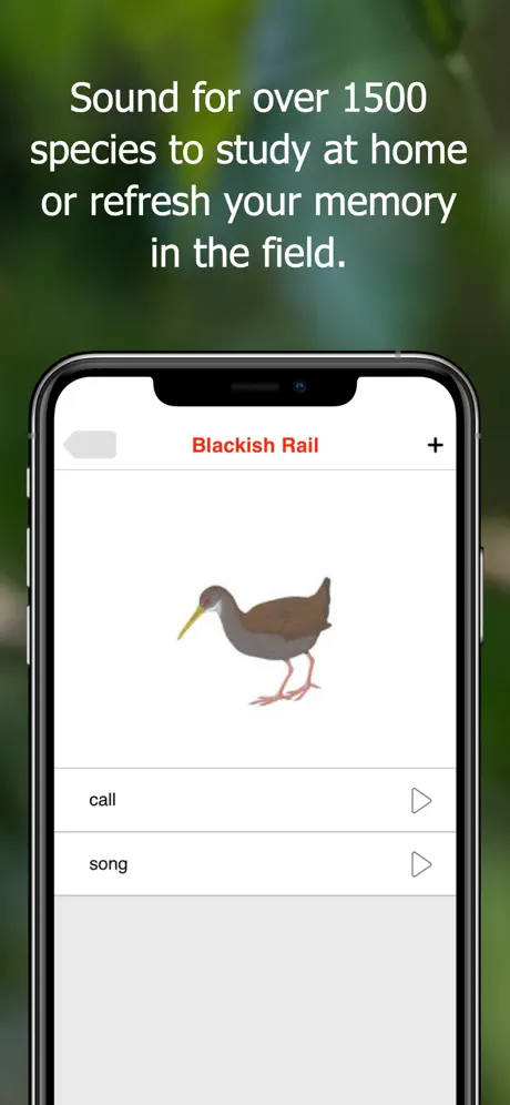 Birds of Ecuador - Field Guide