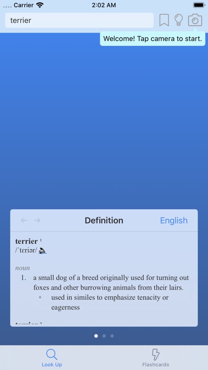 Pocket dictionary