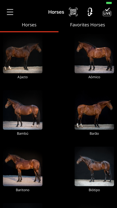 Arte Equestre Screenshot