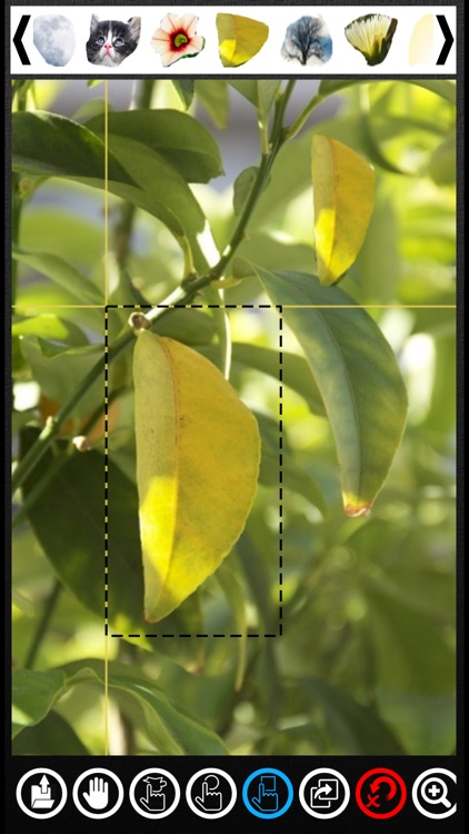 Photo Image Quick Editor