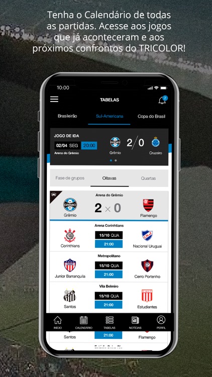 Grêmio FBPA - Oficial screenshot-3
