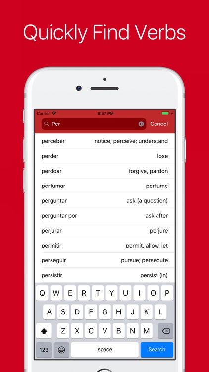 Portuguese Verb Conjugator Pro screenshot-8