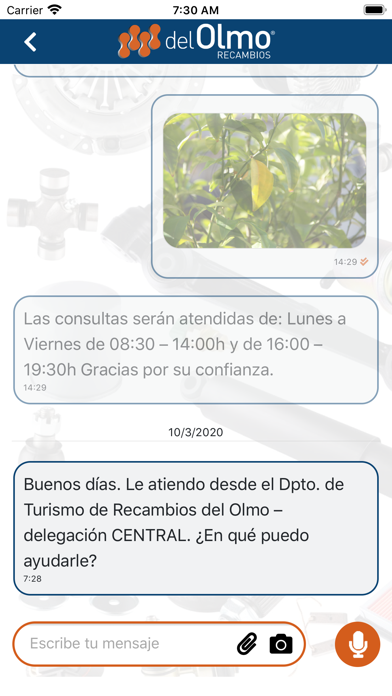 Screenshot #3 pour Recambios del Olmo