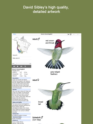 Sibley Guide to Hummingbirdsのおすすめ画像1
