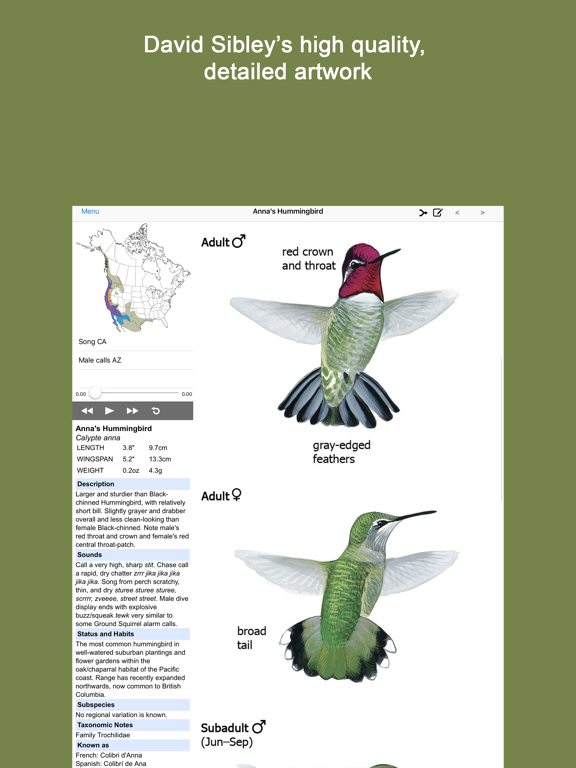 Screenshot #4 pour Sibley Guide to Hummingbirds