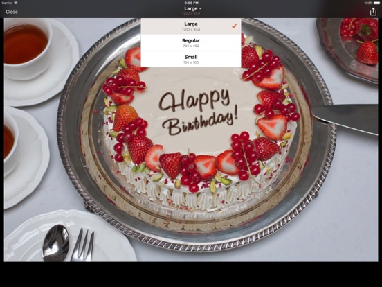 PhotoFunia iPad app afbeelding 4