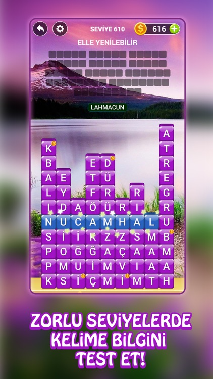 Kelime Hasadı - Kelime Oyunu screenshot-5