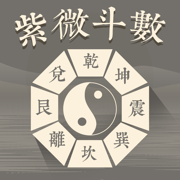 紫微斗數-八字算命紫微運勢大師