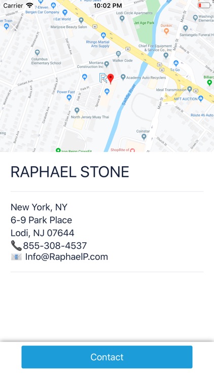 RAPHAEL STONE screenshot-4