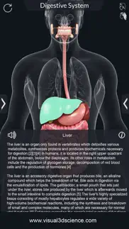 my digestive system anatomy iphone resimleri 4
