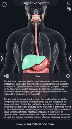 My Digestive System Anatomy screenshot 4