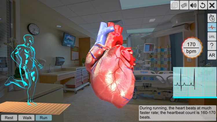 AR Human heart – A glimpse screenshot-4