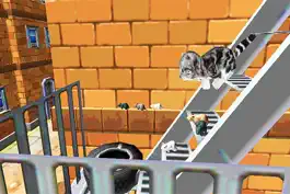 Game screenshot Kitten Cat Craft Vs Dog 3D Sim apk
