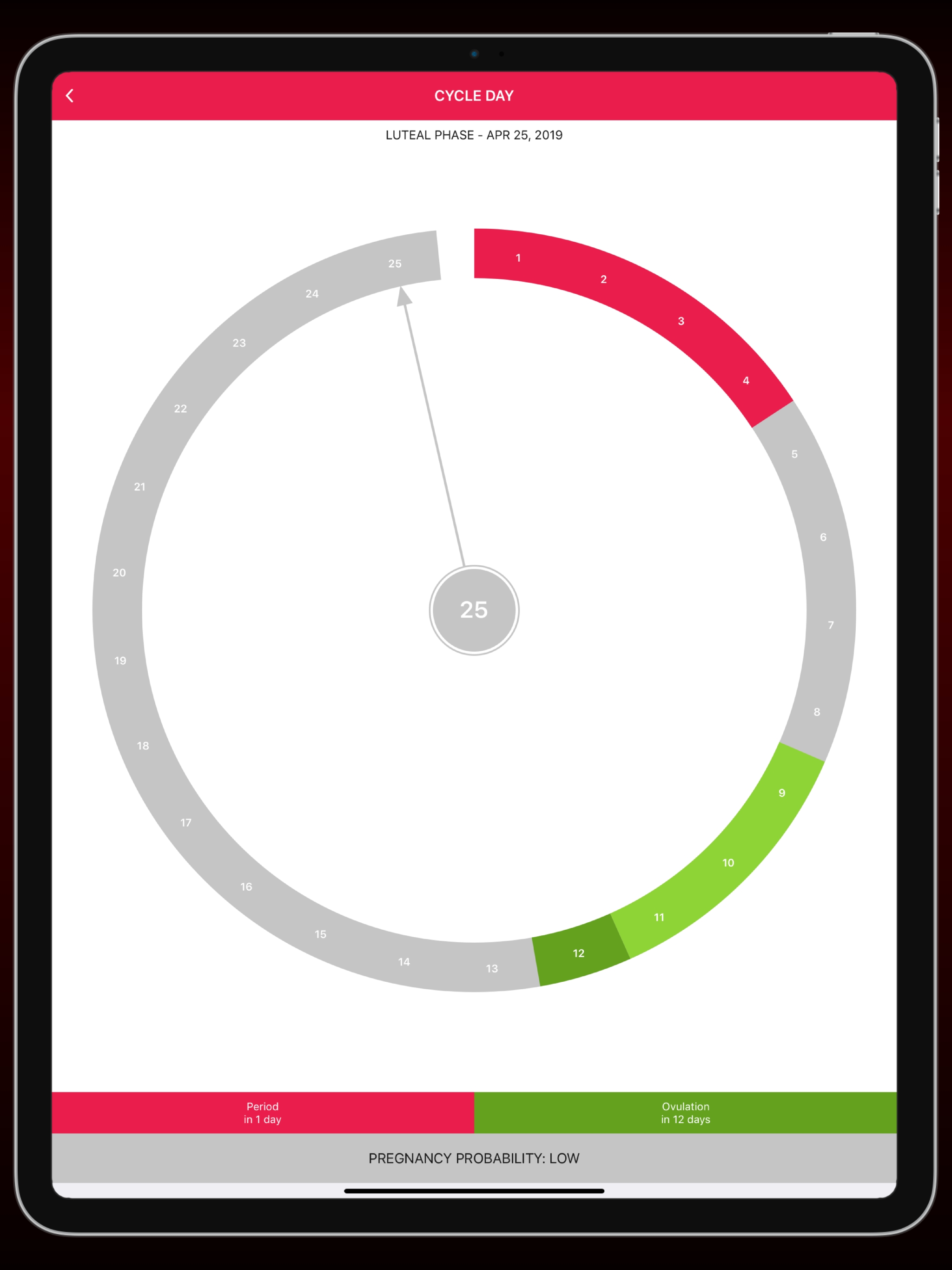 LADYTIMER Period Calendar