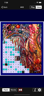SpellPix Pro screenshot 3