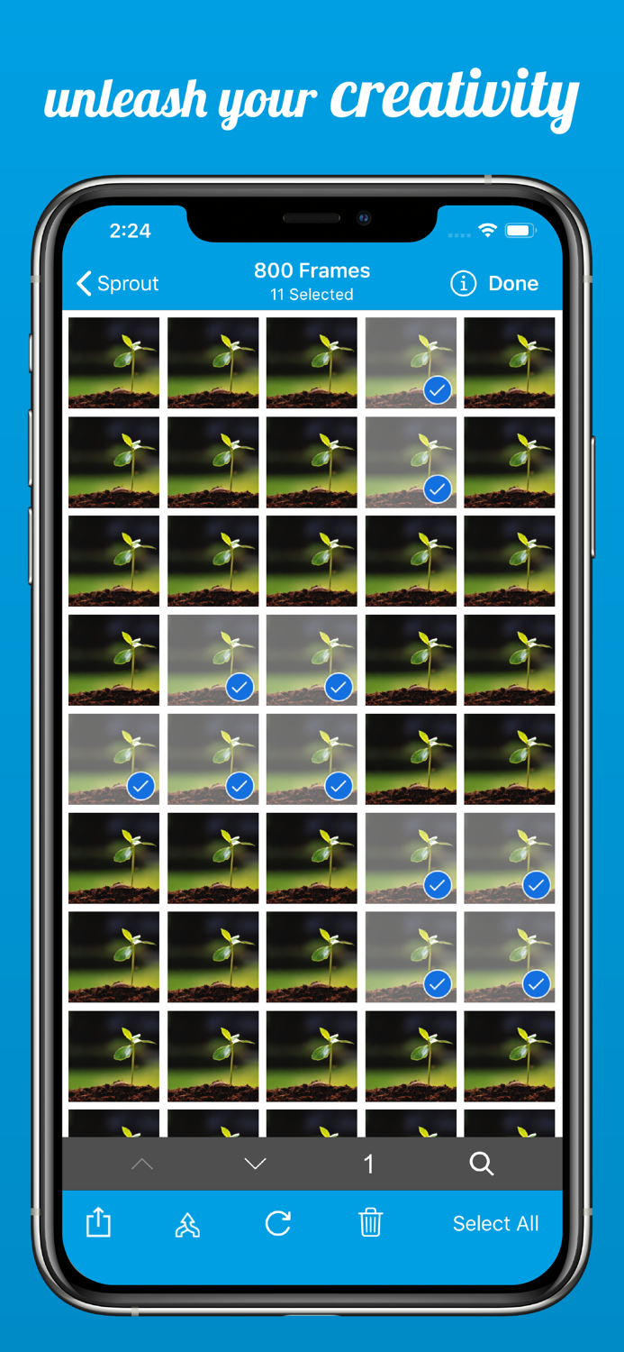 OSnap Pro • Stop Motion Lapse