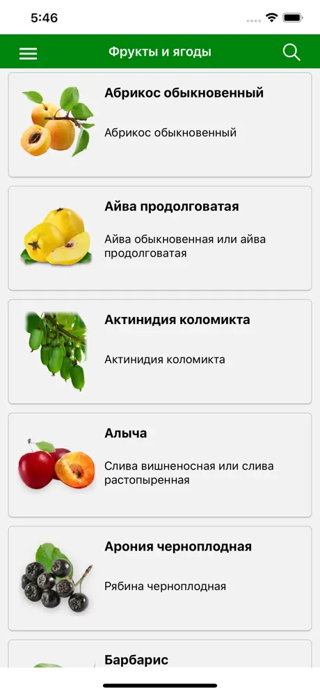Лекарственные растения мира
