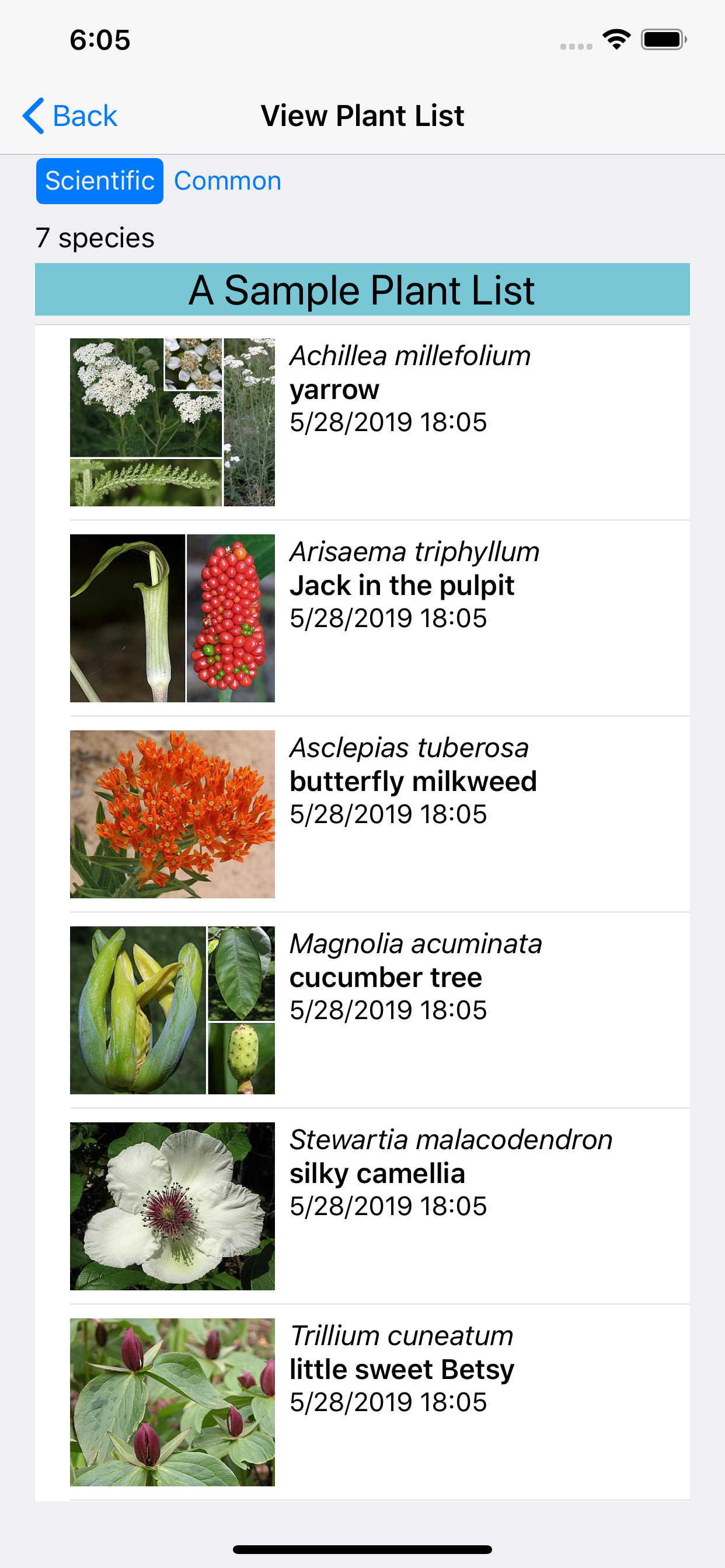 North Carolina Wildflowers